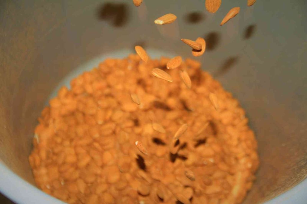 Elazığ’da 20 bin dönümlük alanda badem hasadı başladı