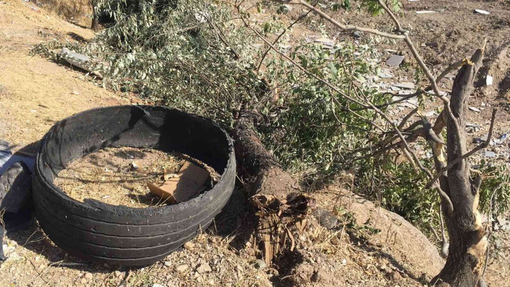 Elazığ’da pikap şarampole yuvarlandı: 5 yaralı