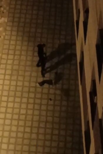 Bekçilerden Kaçamadılar…