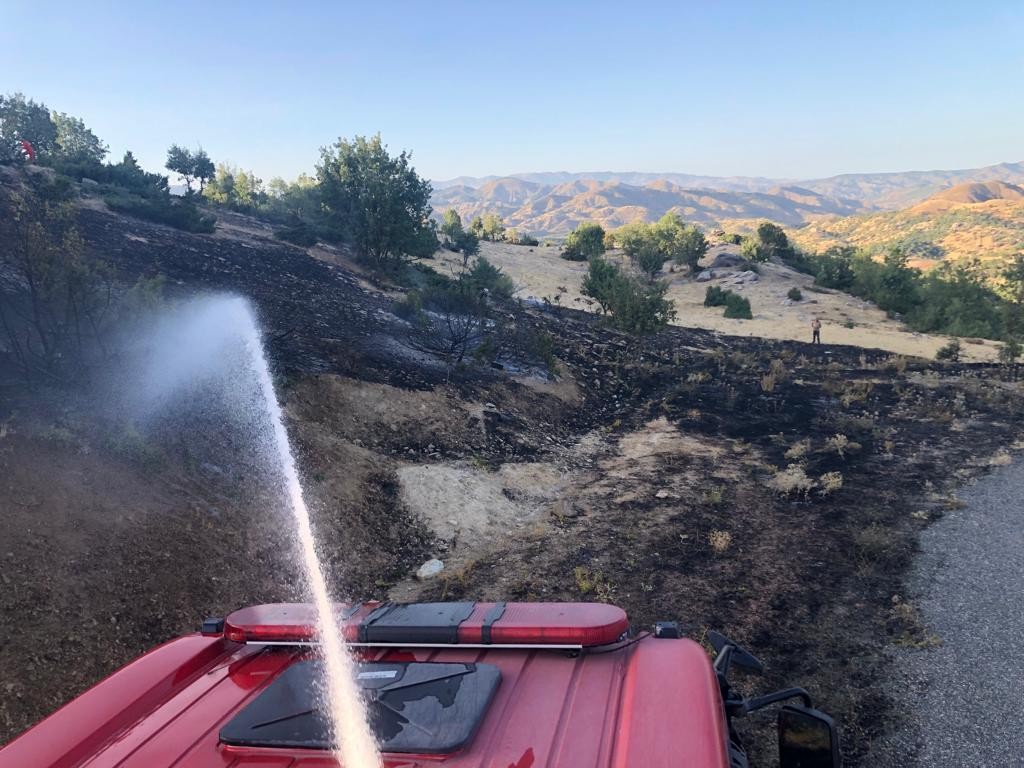Genç ilçesindeki orman yangını söndürüldü