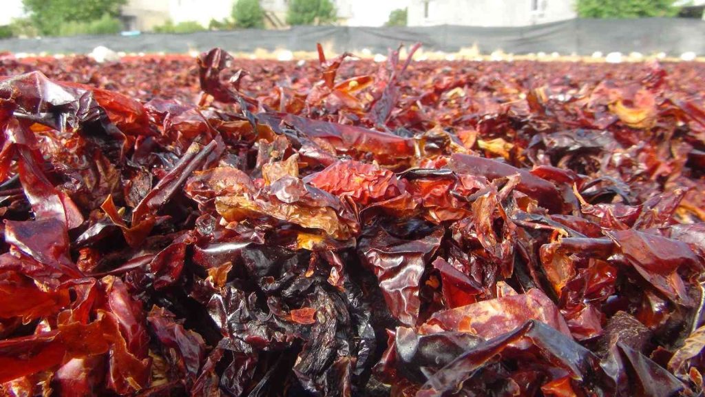 Vazgeçilmez baharat ’Urfa isotu’