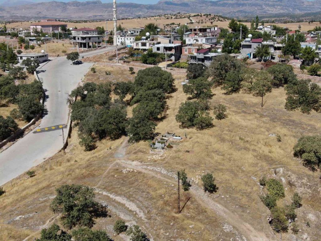 6-7 bin yıllık olduğu değerlendirilen mezarlıktaki asırlık meşe ağaçları koruma altına alınmayı bekliyor