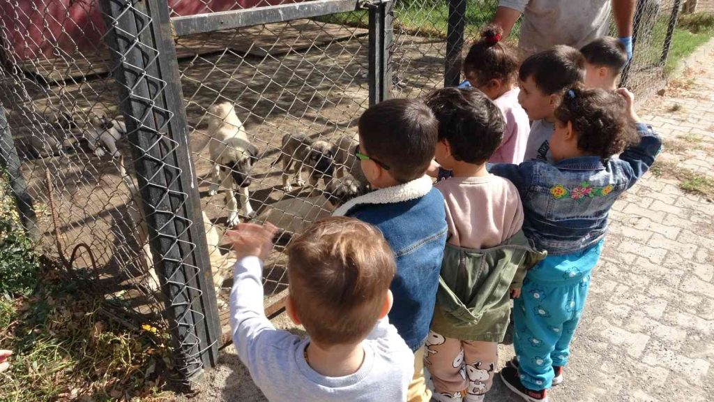 Bingöl’de çocuklar hayvan barınağını ziyaret etti