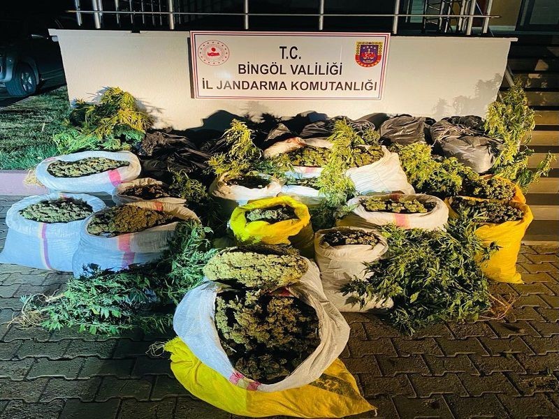 Bingöl’de terör finans kaynağına ağır darbe: 6 milyon kök kenevir ele geçirildi