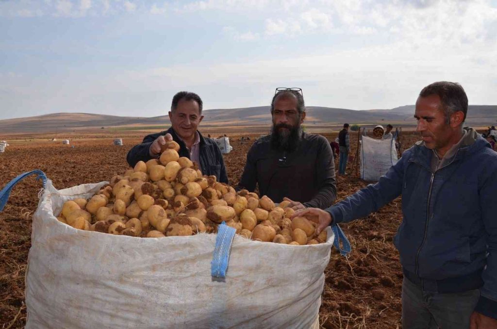 Darende patateste bölgenin cazibe merkezi oldu