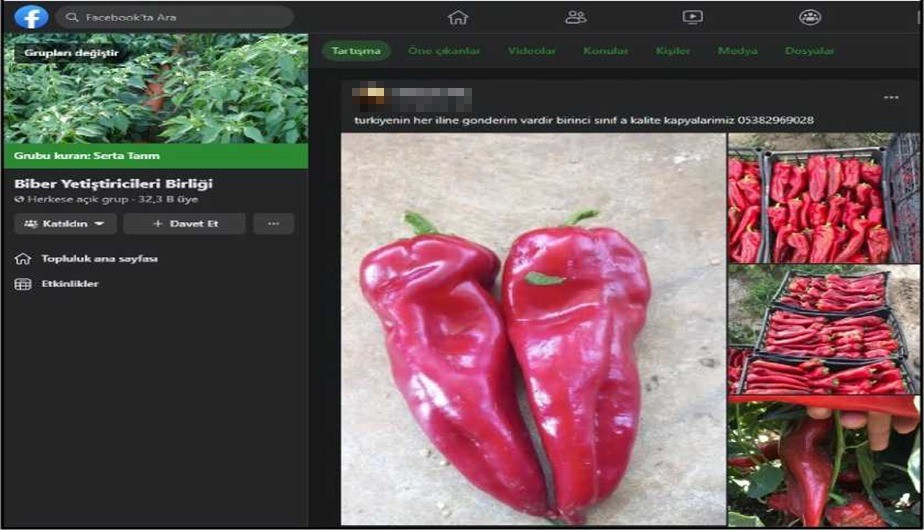 Diyarbakır merkezli 3 ilde “Kabzımal” operasyonu: 6 gözaltı