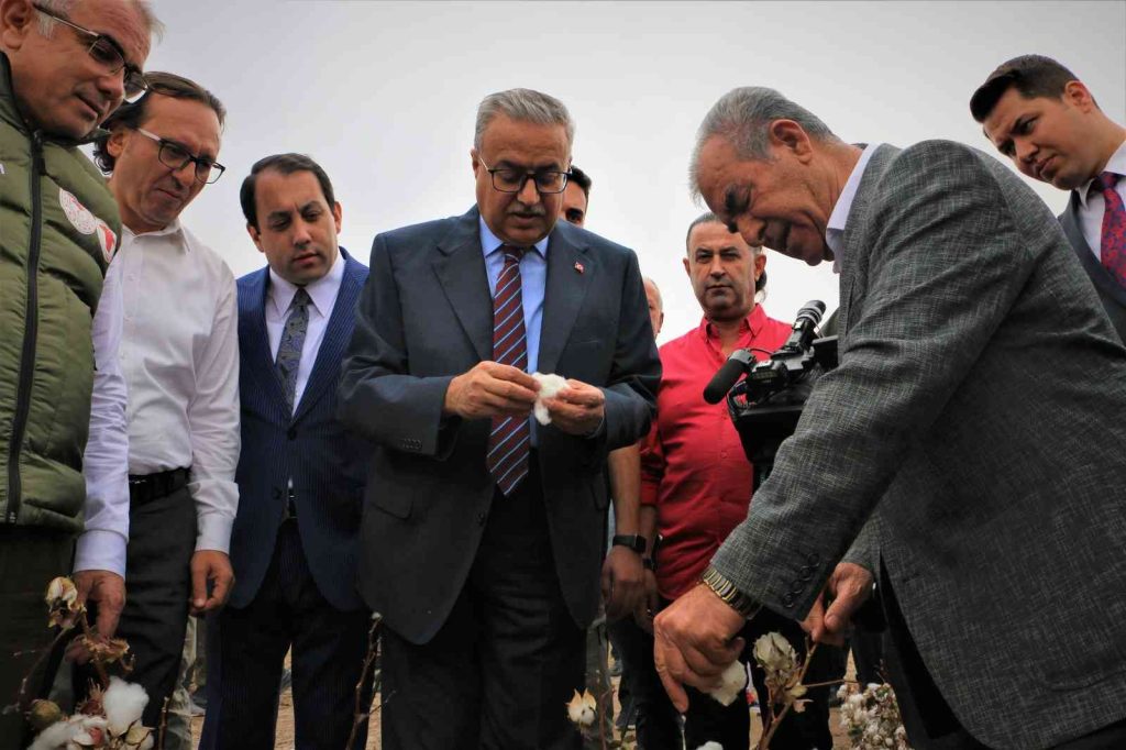 Diyarbakır’da ‘beyaz altın’ hasadı başladı, Vali Su ilk hasadı yaptı