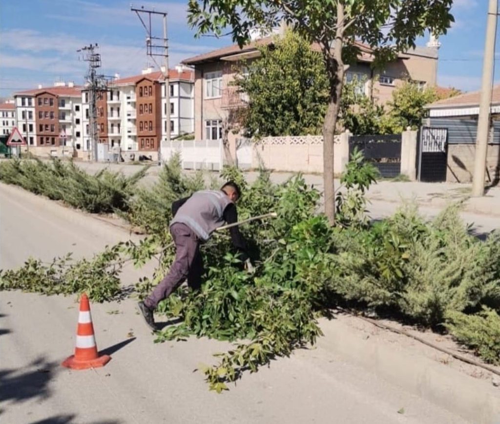Elazığ Belediyesinden ağaç budama çalışması