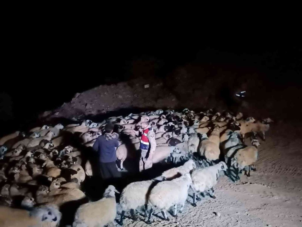 Elazığ’da jandarma kaybolan hayvanları dron ile buldu
