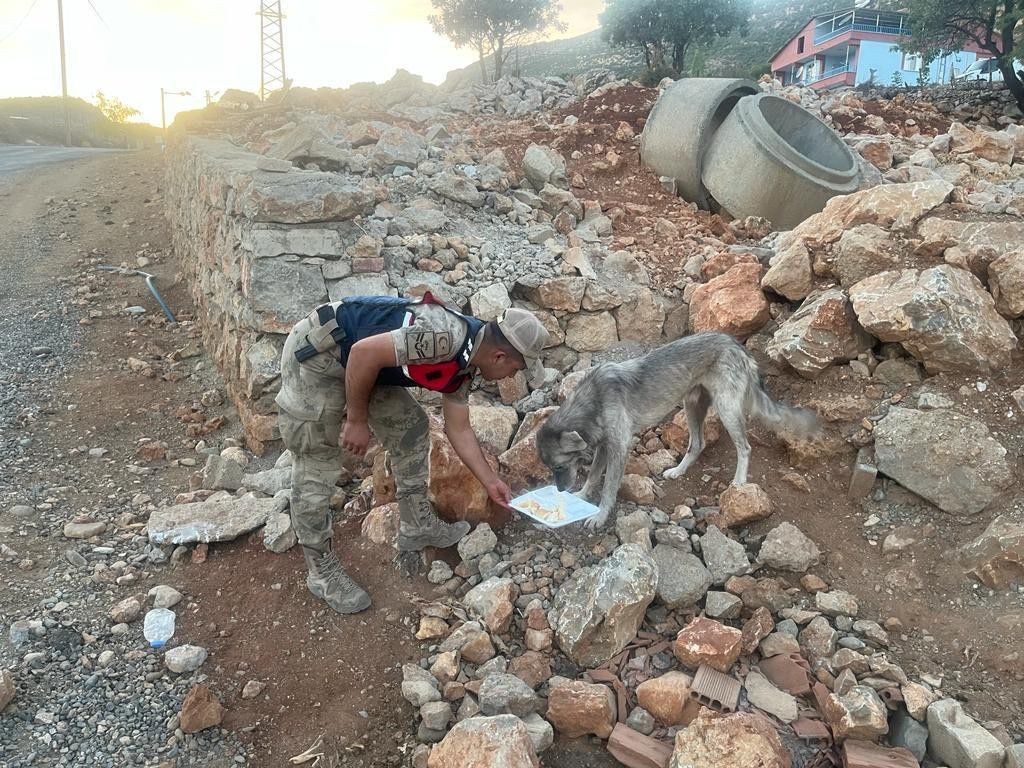 Elazığ’da jandarmadan 4 Ekim Dünya Hayvanları Koruma Günü etkinliği