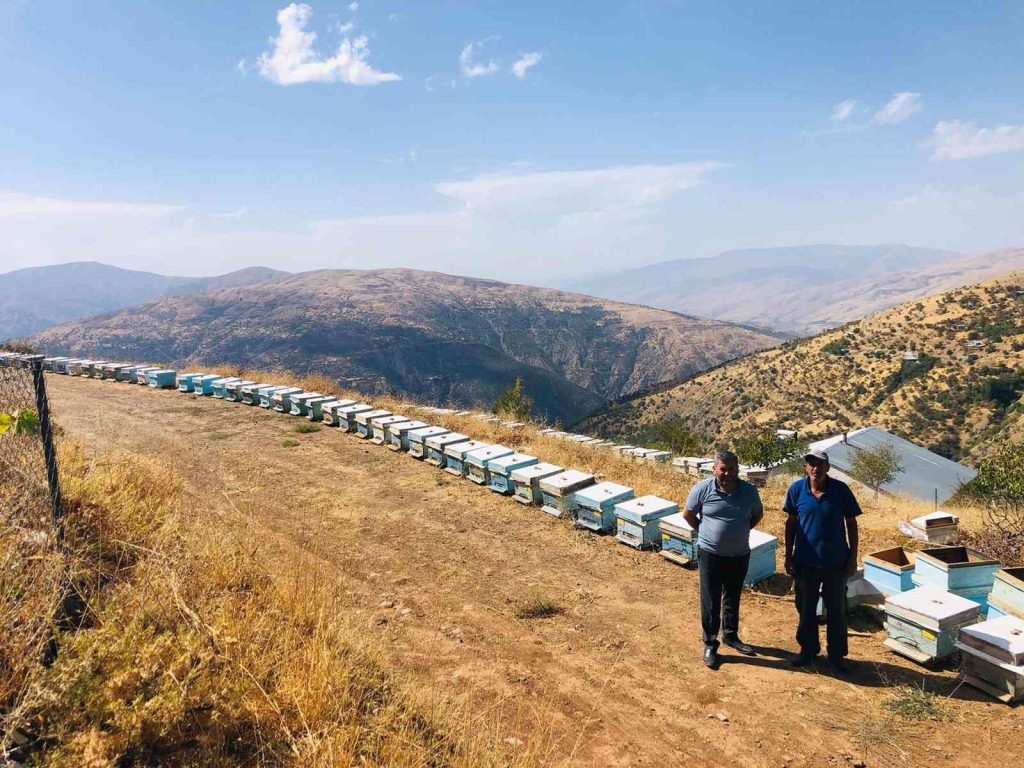 Elazığ’da kovanlar kontrol edildi