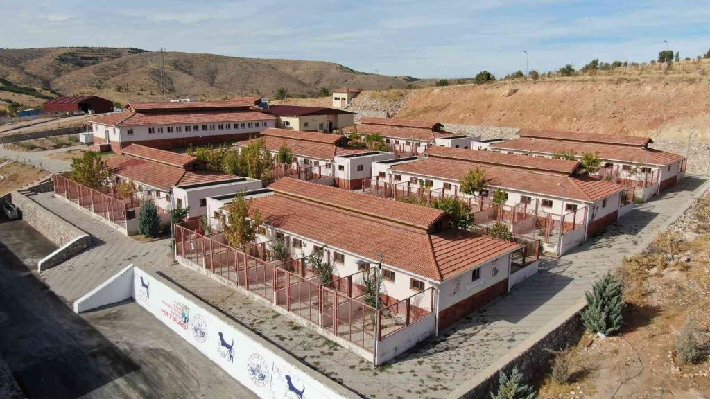 Geçici Hayvan Bakımevi Rehabilitasyon Merkezi’nde 5 yılda 8 bin hayvan tedavi edildi