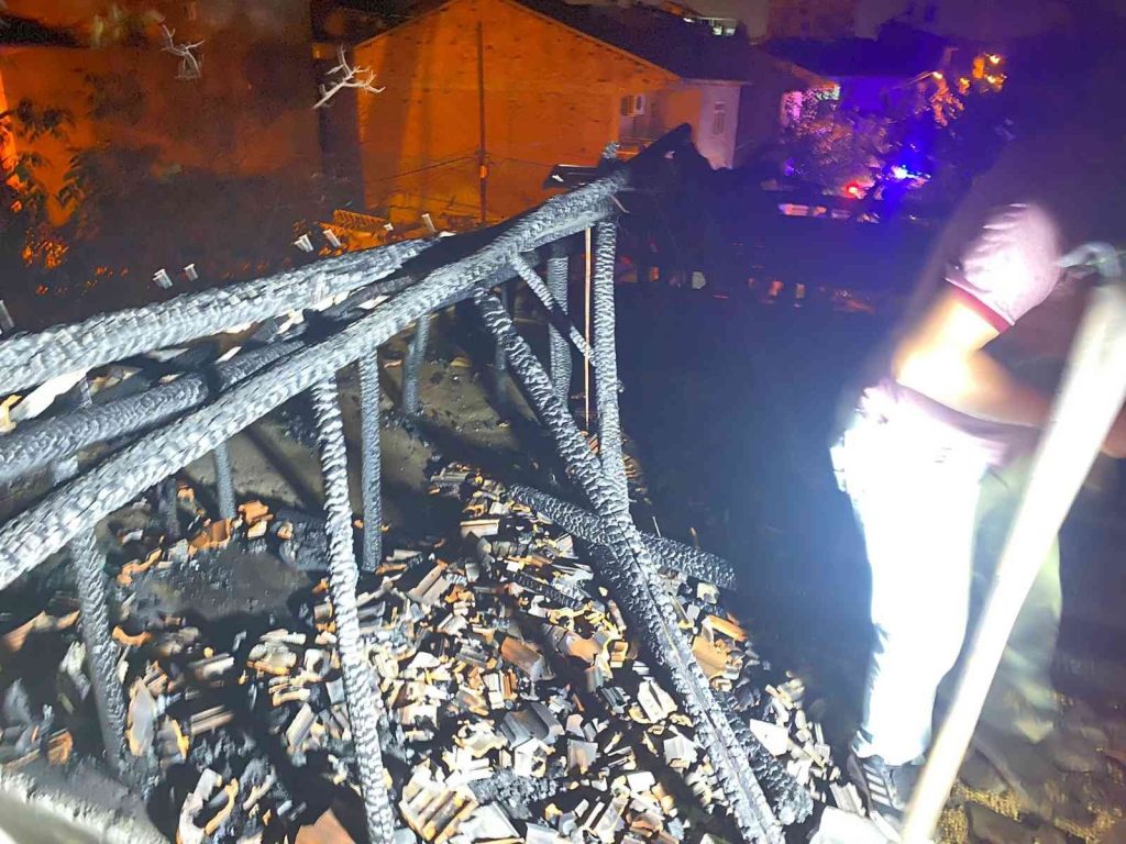 Yangında üç hayvan telef oldu