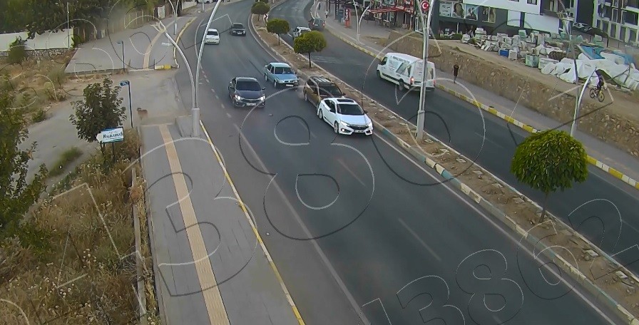 Yola çıkan köpek zincirleme kazaya neden oldu