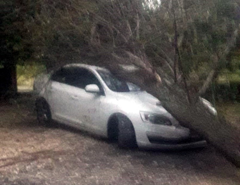 Beypazarı’na Piknik Yapmaya Gelen Ailenin Aracına Ağaç Devrildi