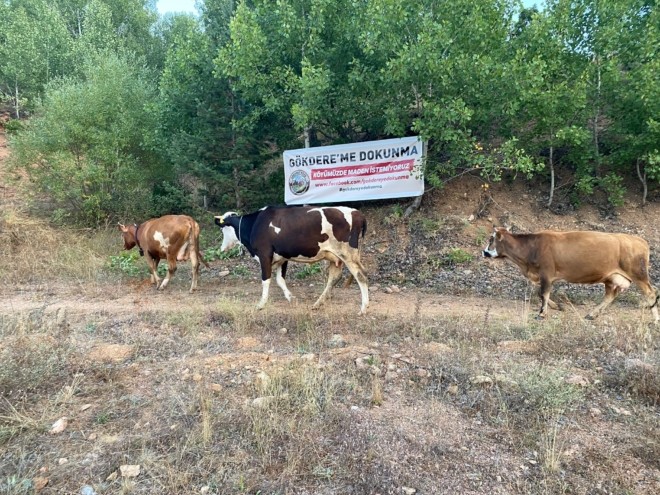 Gökdere Köyü Halkı Maden Projesine Karşı İmza Topluyor