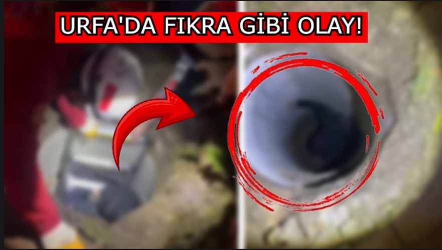 Şanlıurfa’da hırsızlığın böylesi! Bakın neye mal oldu?